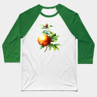 Pomegranate Autumn Botanical Vector Art Baseball T-Shirt